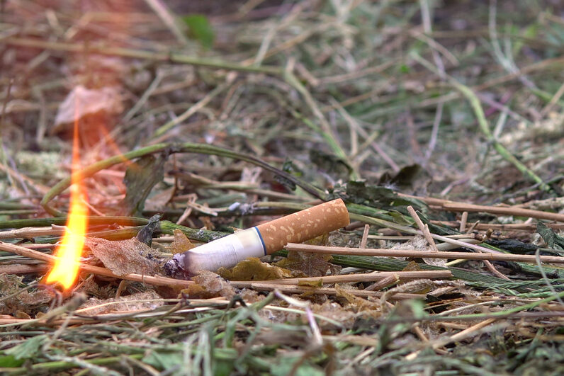 A cigarette butt has been left burning and thrown on the ground. It has ignited pine needles and grass.