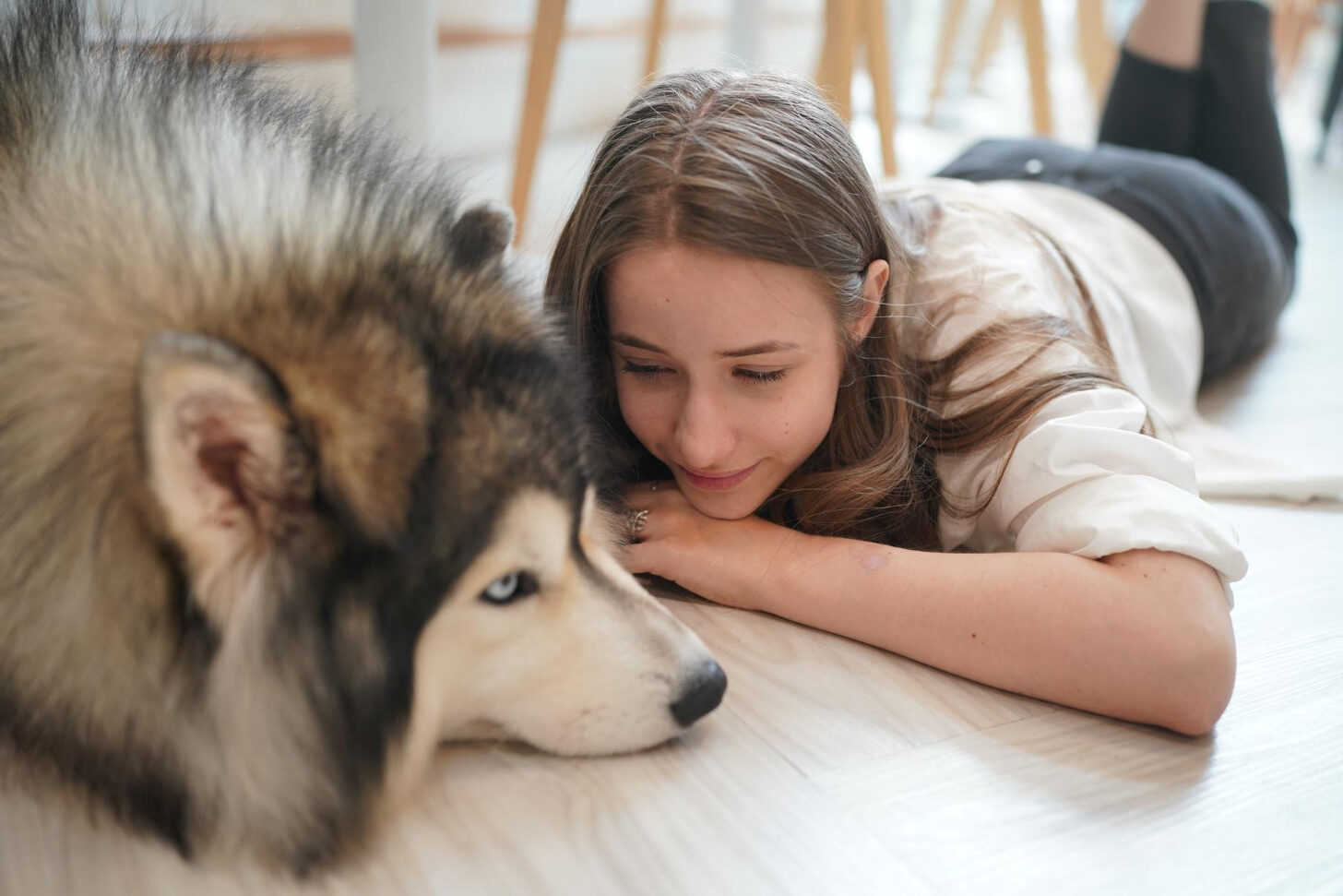 A girl and a husky-like dog are lying on their stomachs on the floor, staring at each other.