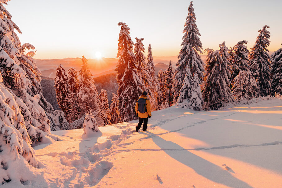 A hiker in winter clothing with a backpack walks through deep snow in a heavily snow-covered forest.