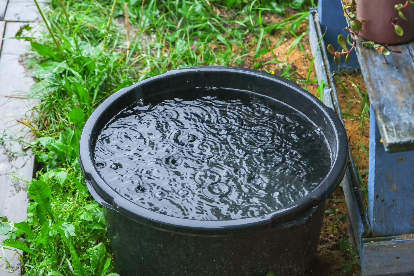 A full bucket of water outdoors.